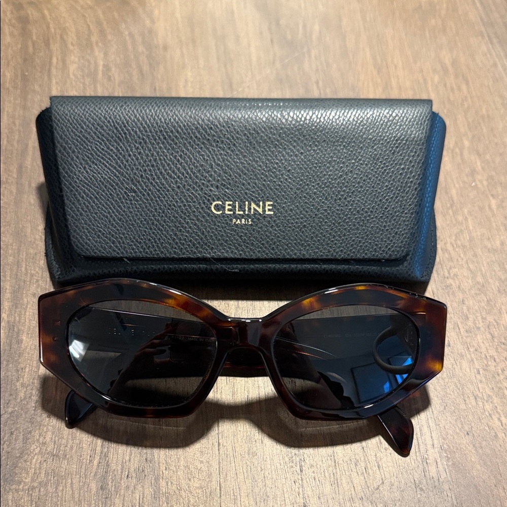 Celine Triomphe Sunglasses in Brown